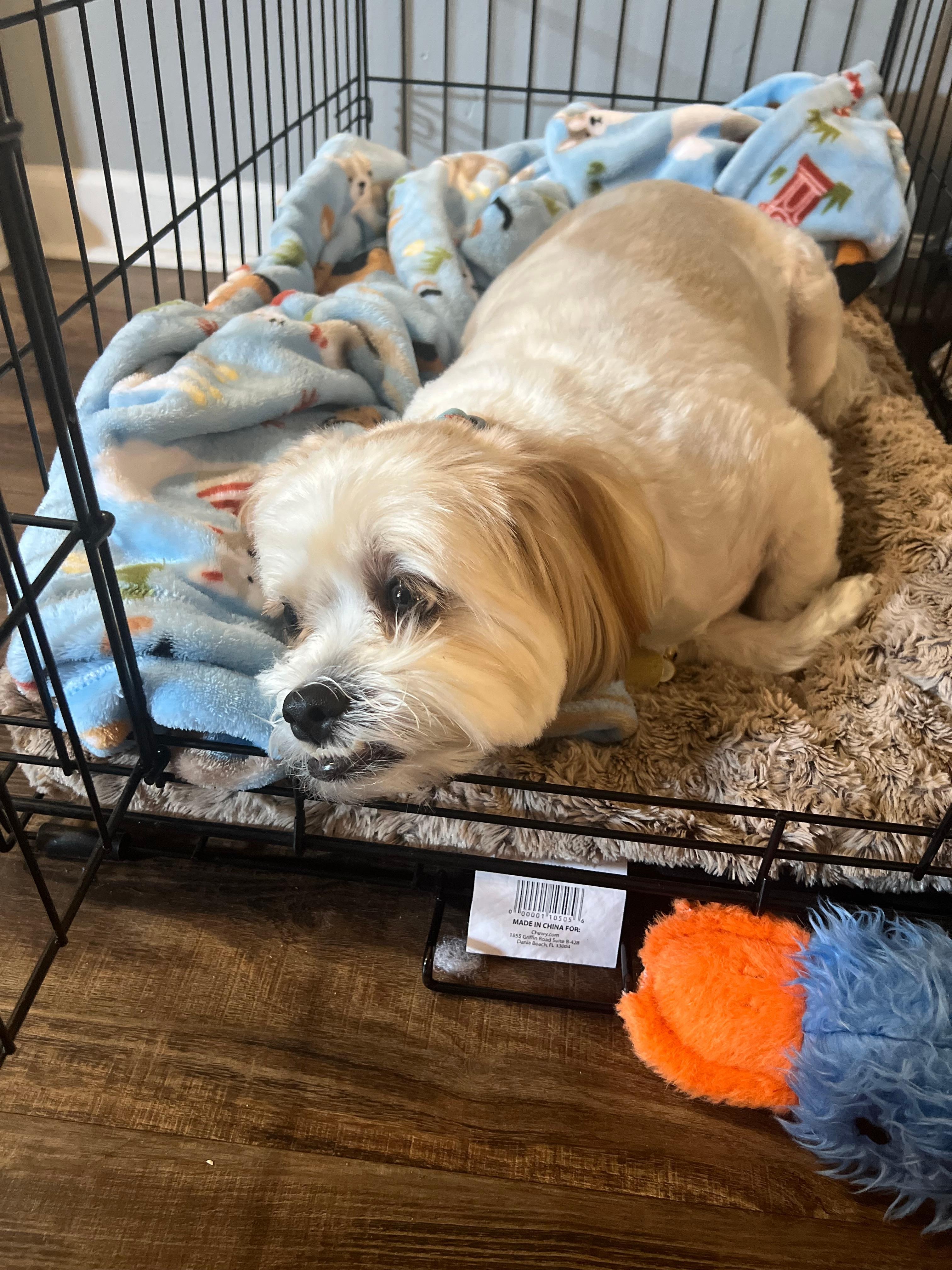 Tired after all the long days.