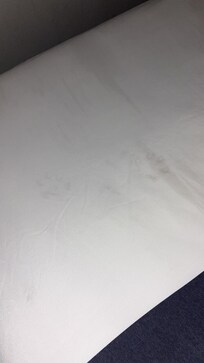 Paw prints
Hotel did noting to accommodate