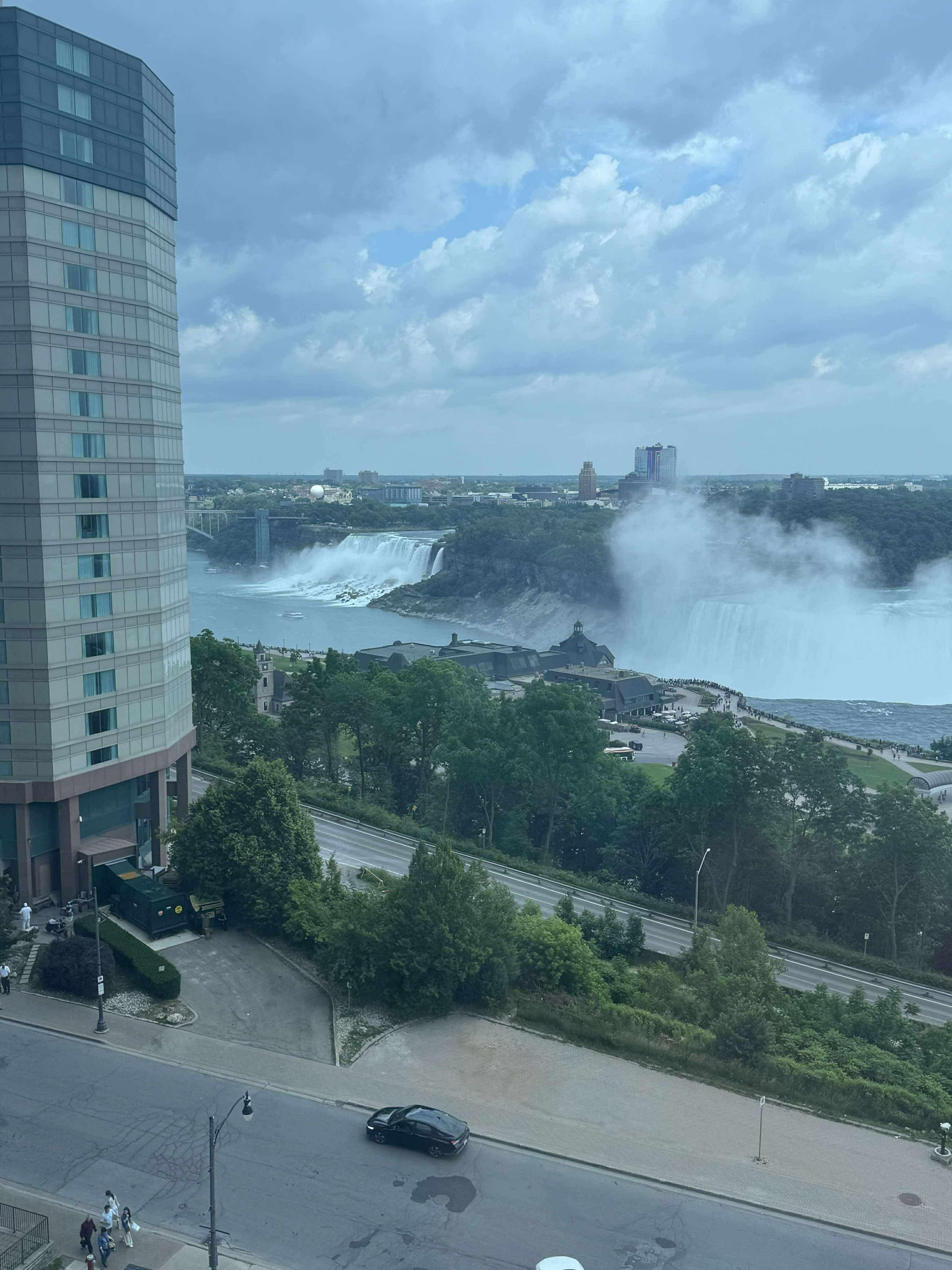 Morning views from the room