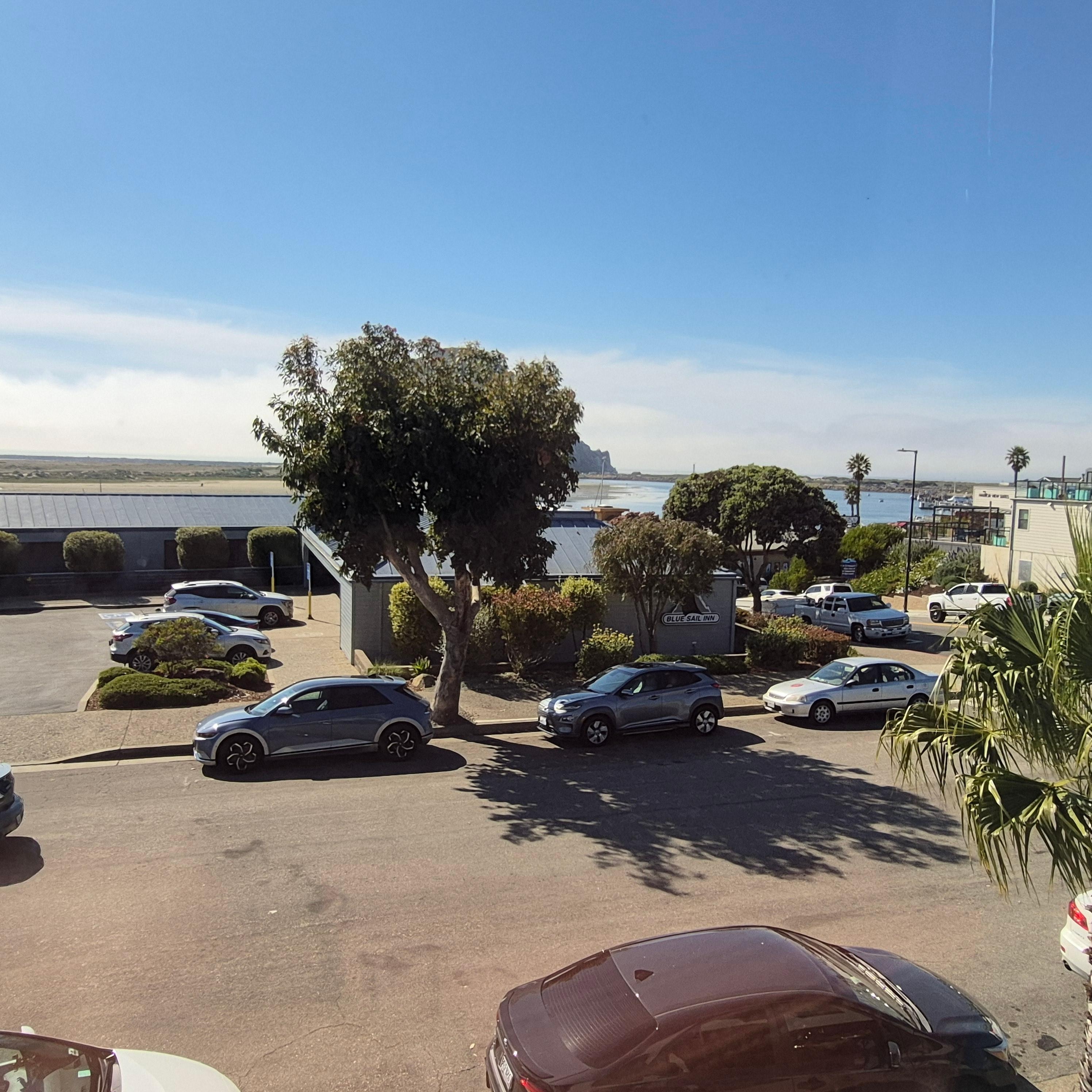 View from room...Morro Rock is behind the tree