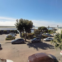View from room...Morro Rock is behind the tree
