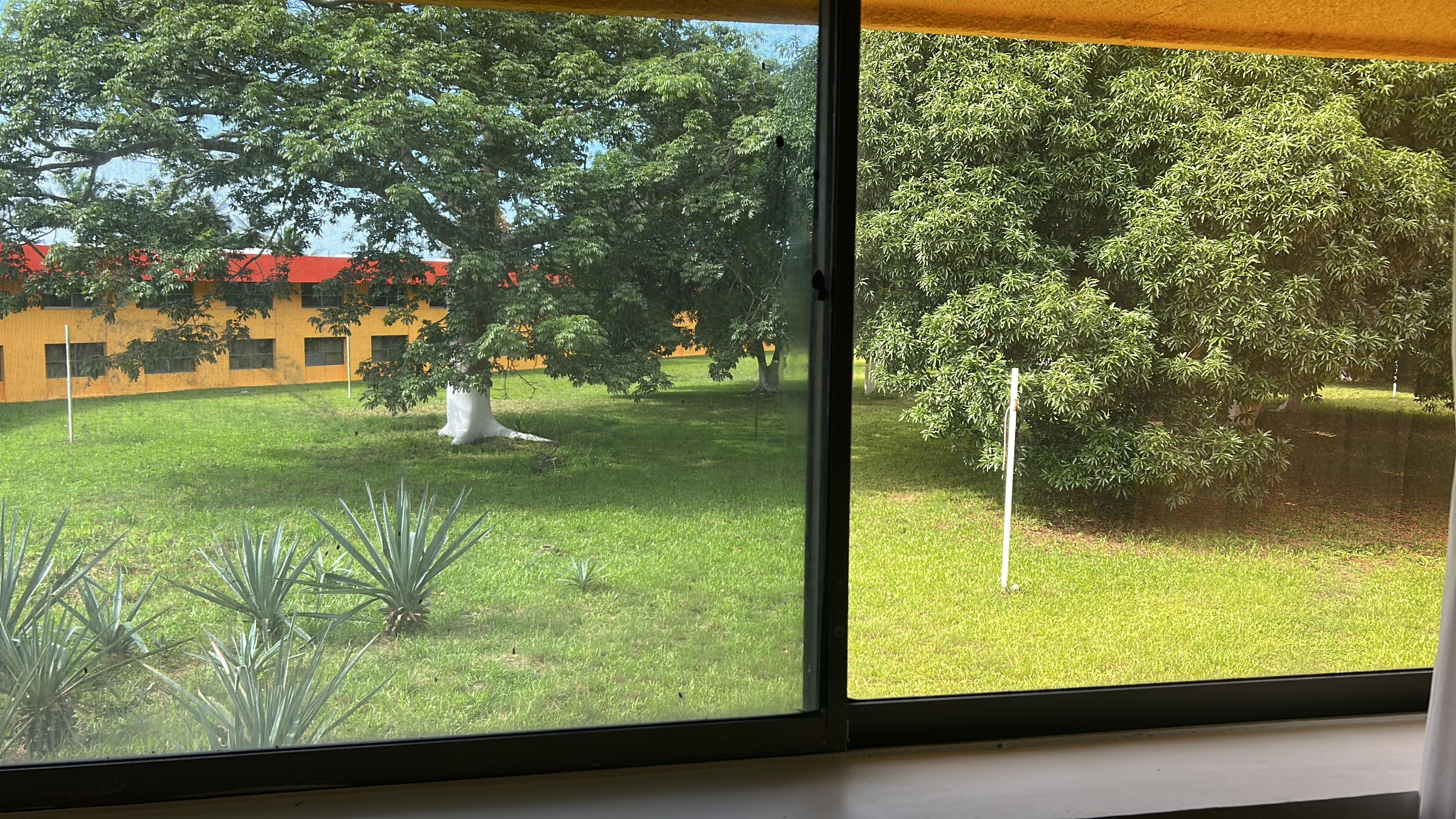 Desde la habitación 