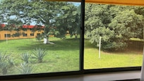 Desde la habitación
