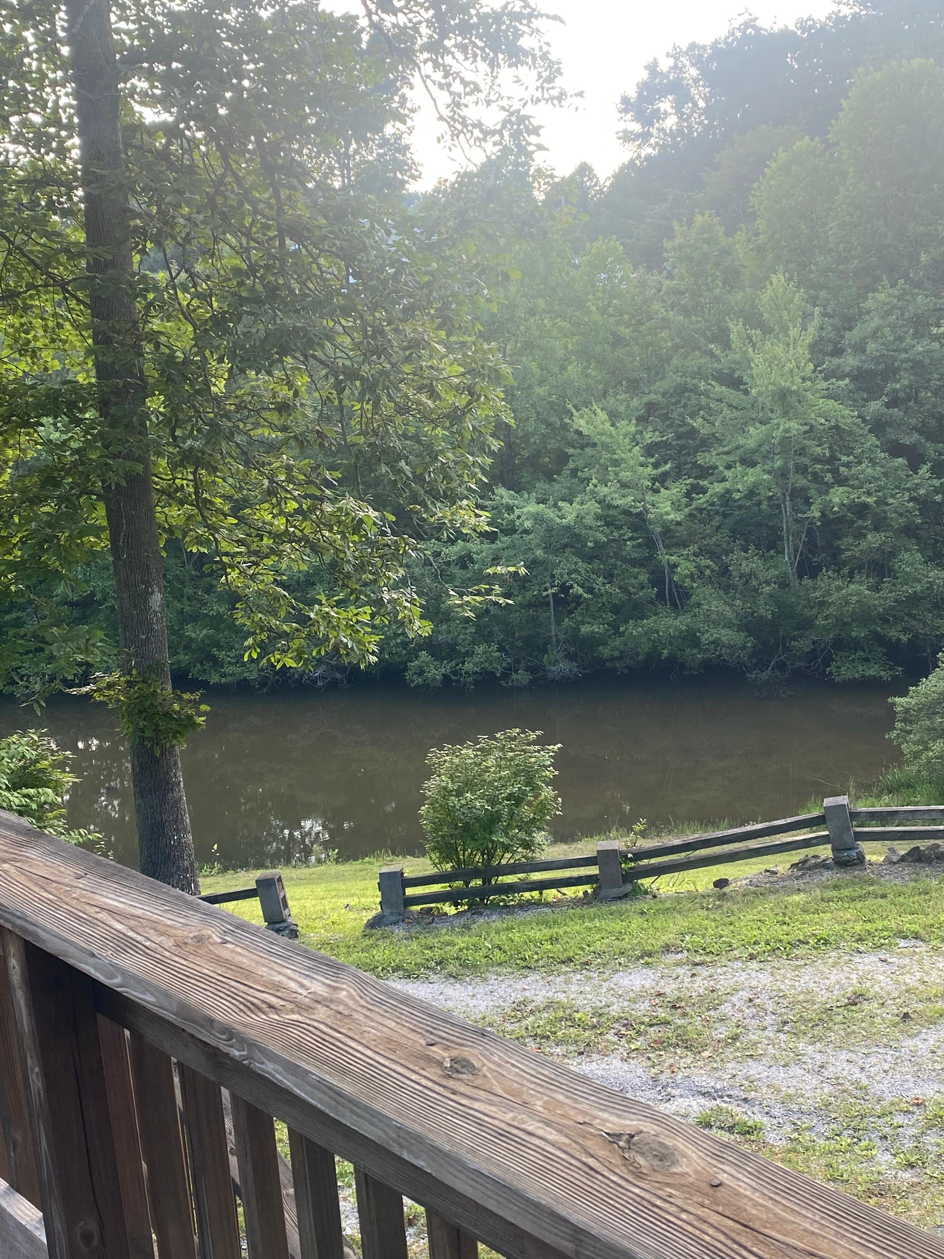 From the back porch.