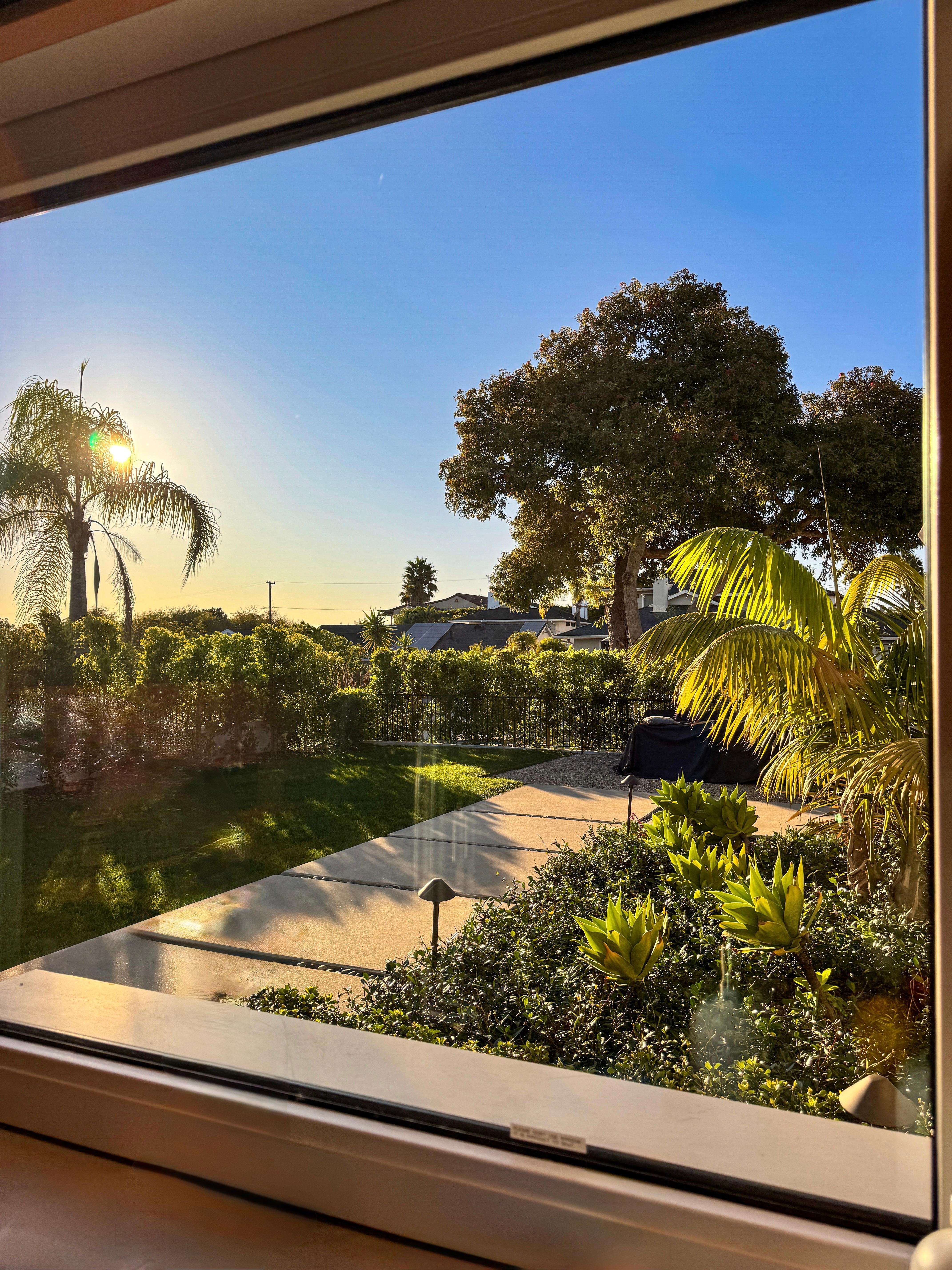View of the front yard from the kitchen window. 