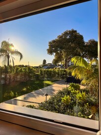 View of the front yard from the kitchen window.