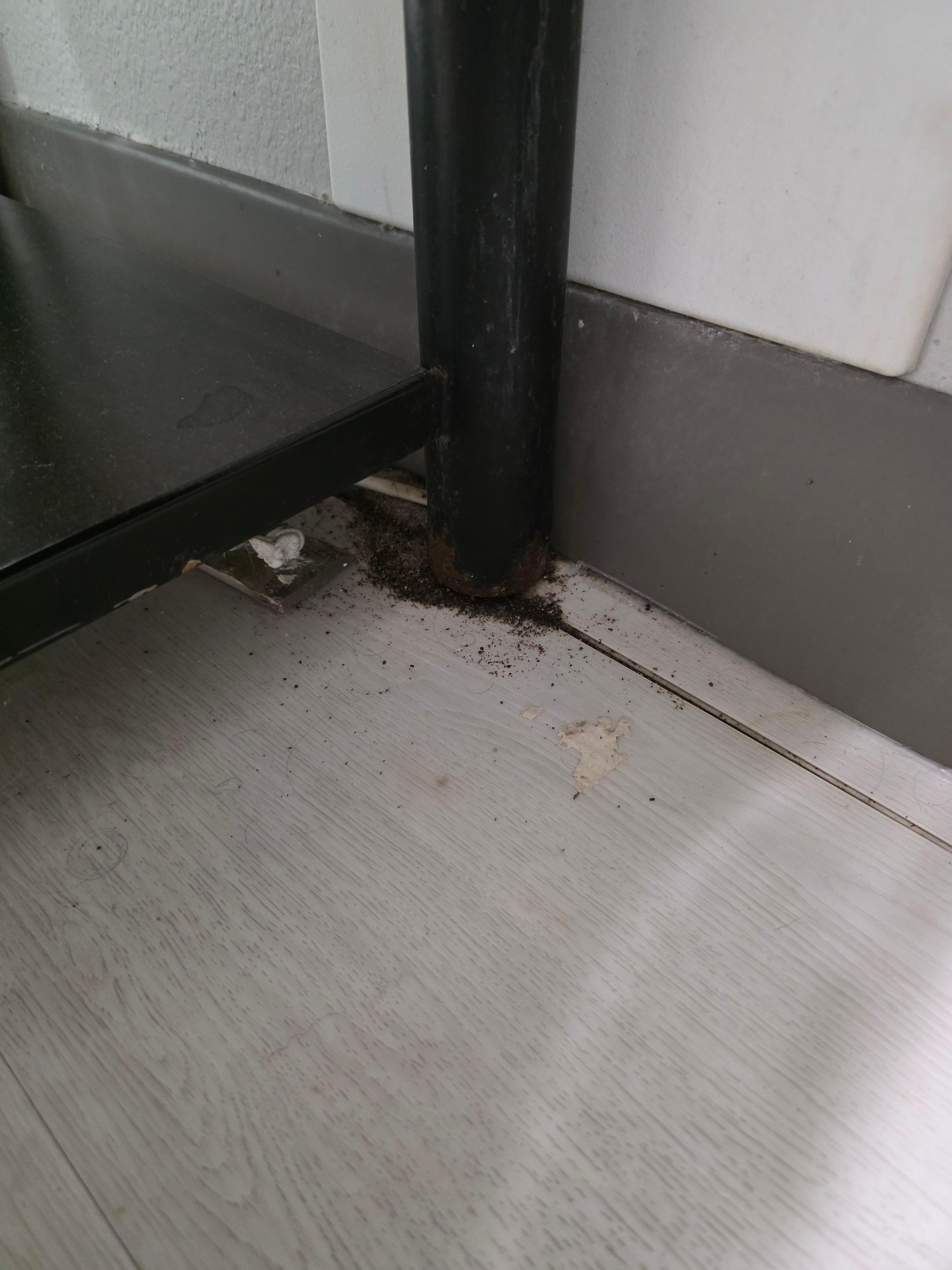 Picture of dirt around bathroom sink base