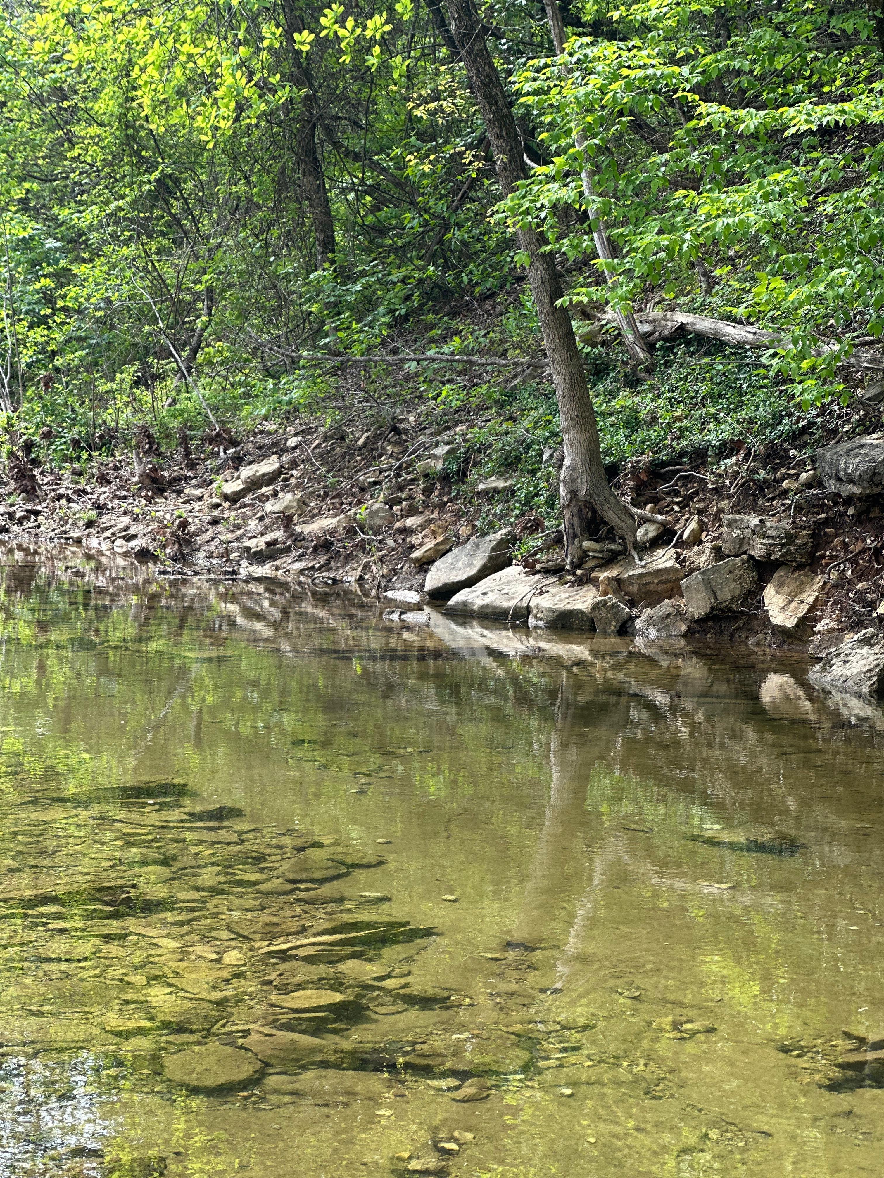The nature right in your backyard amazing the sound of the water running down the rocks super relaxing 