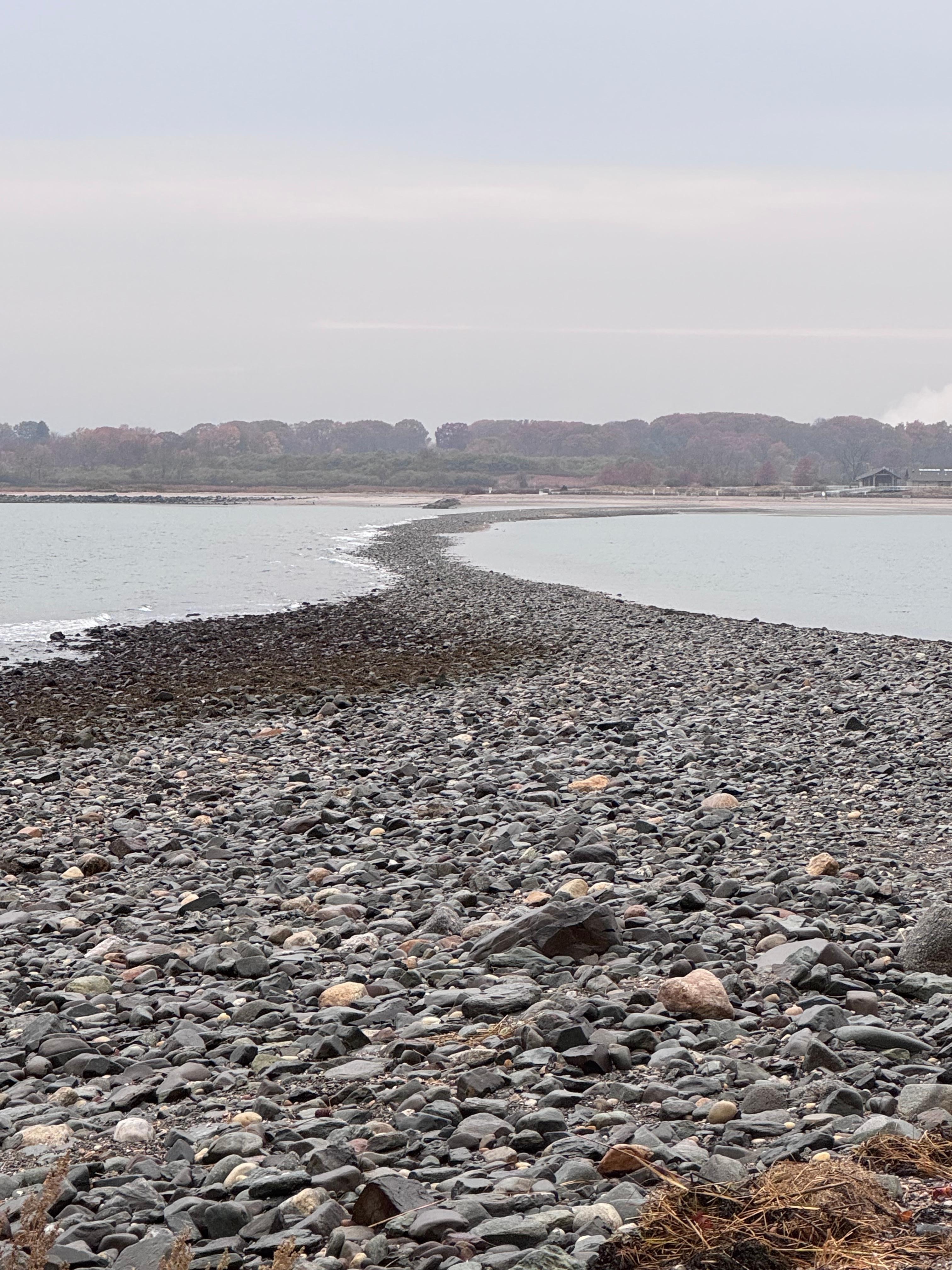 This is the land bridge that goes out to Charles Island at low tide.