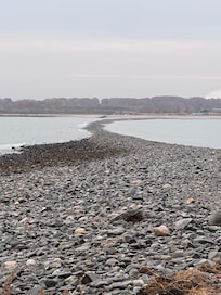 This is the land bridge that goes out to Charles Island at low tide.