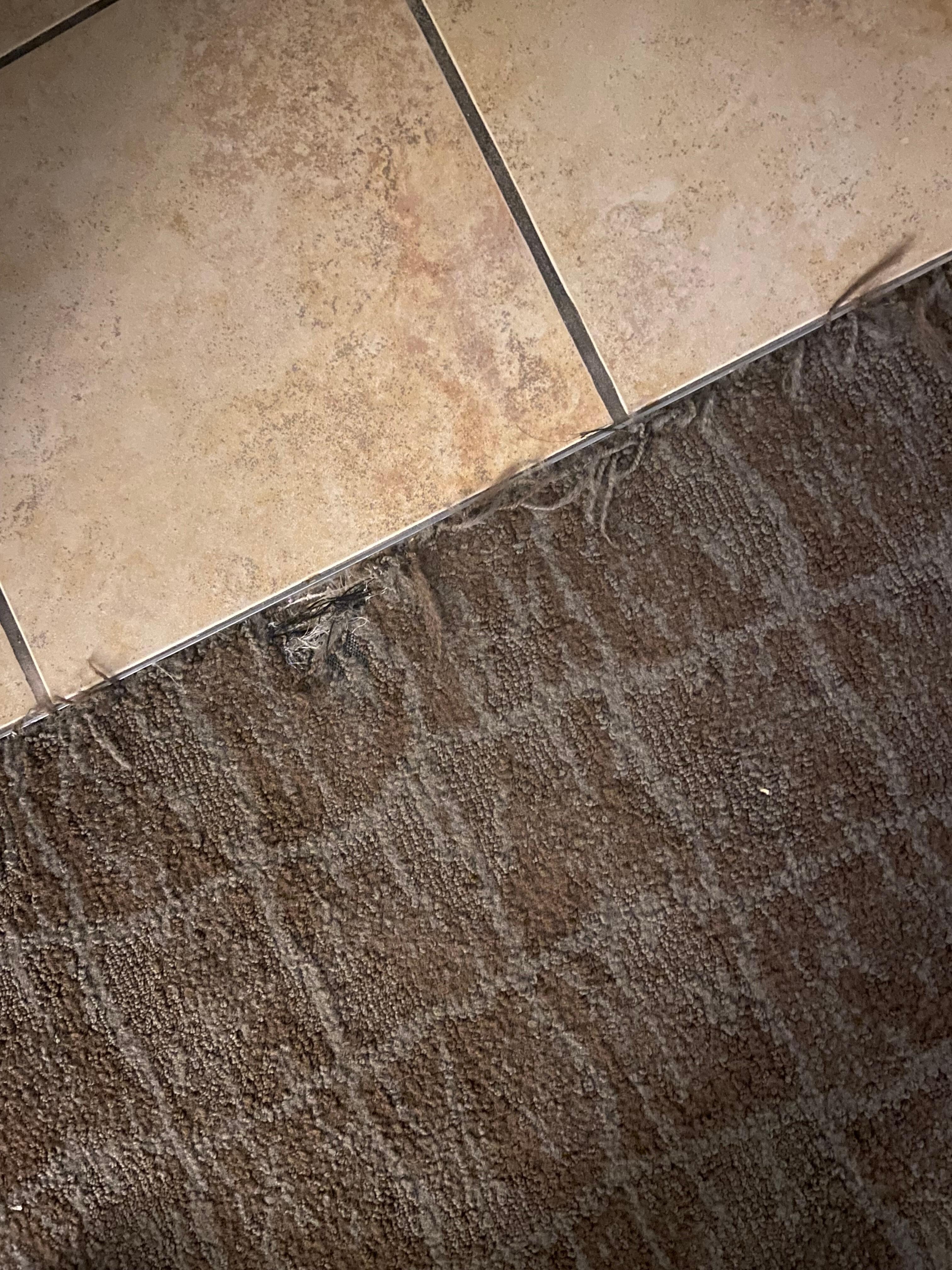 Tear in carpet 