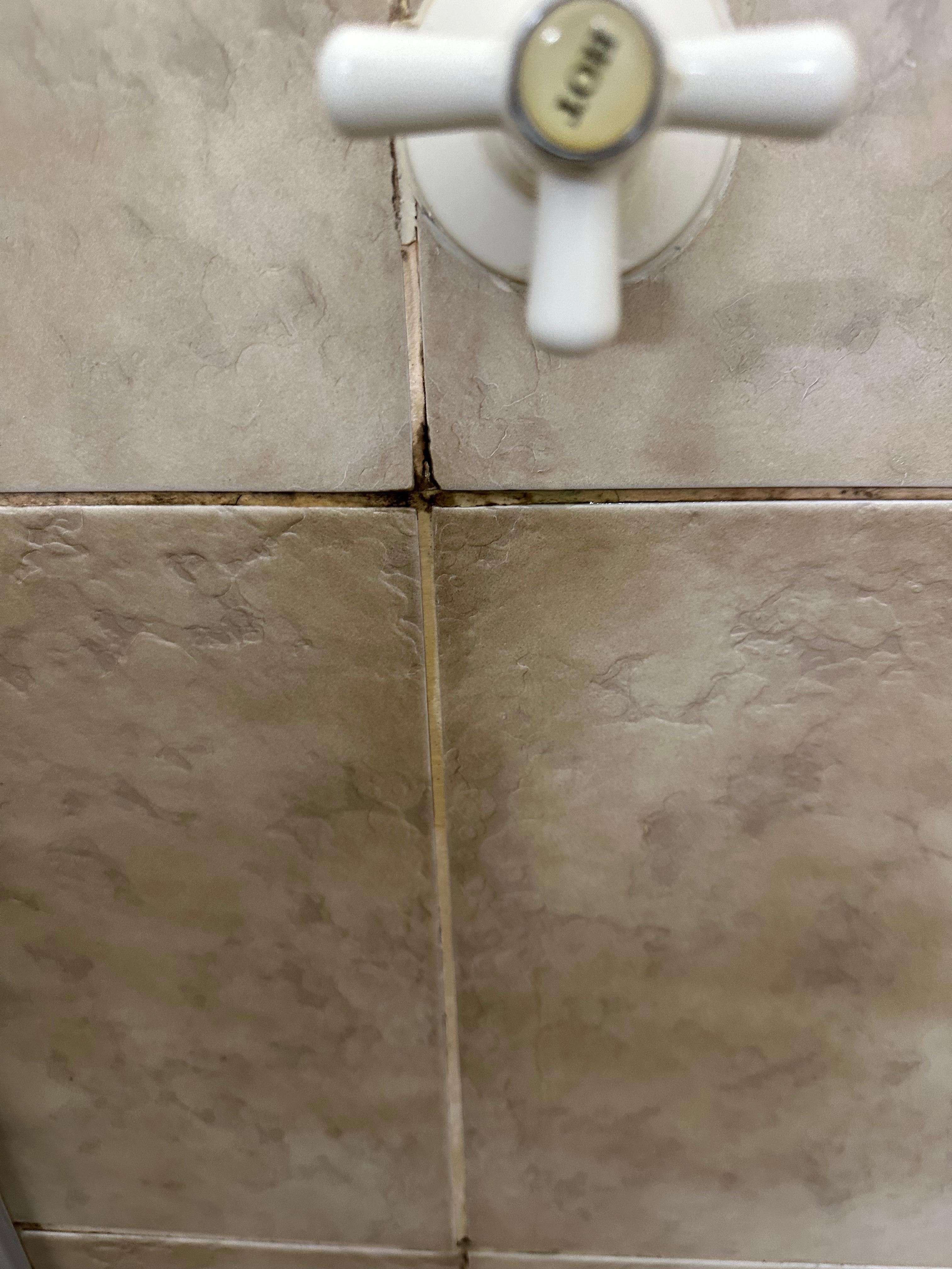 Mould