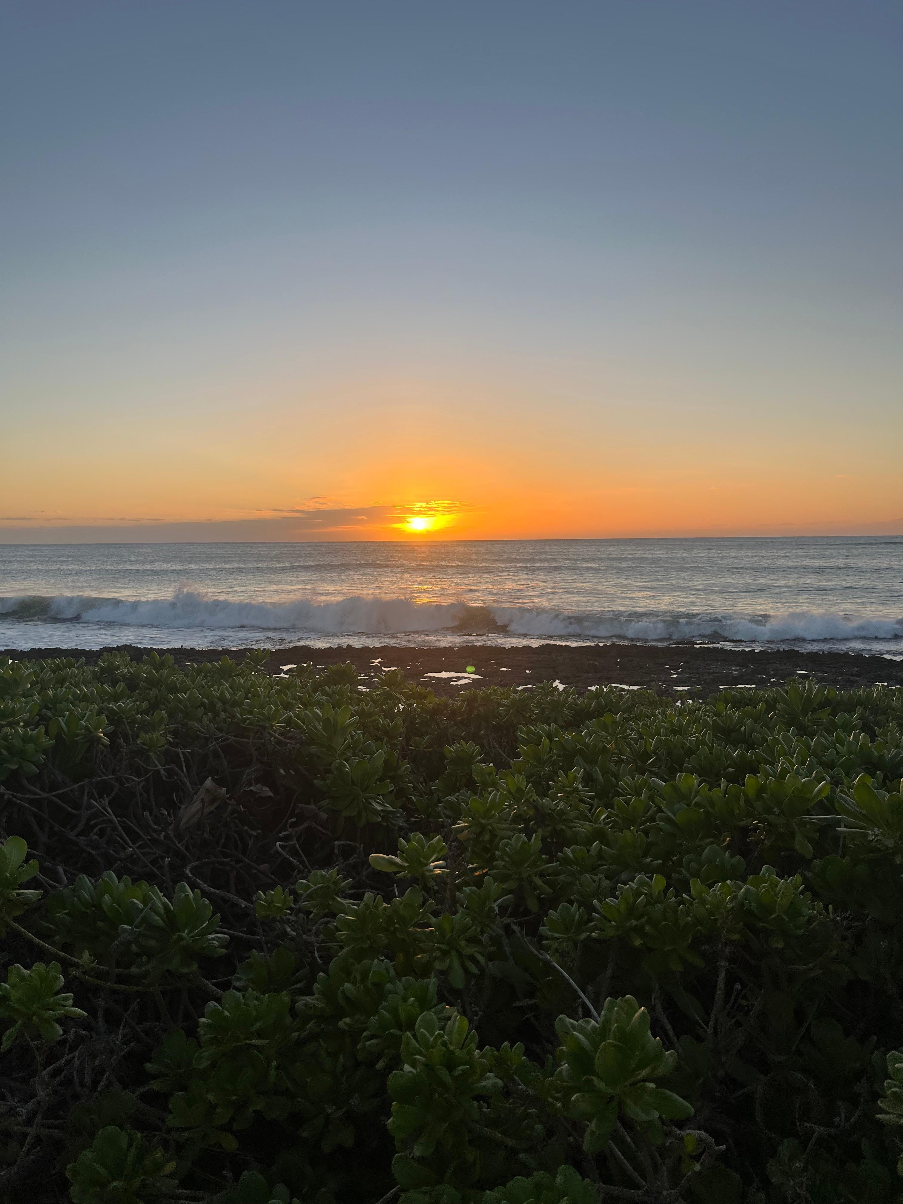 Beautiful beach sunsets 