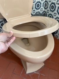 Cracked toilet seat