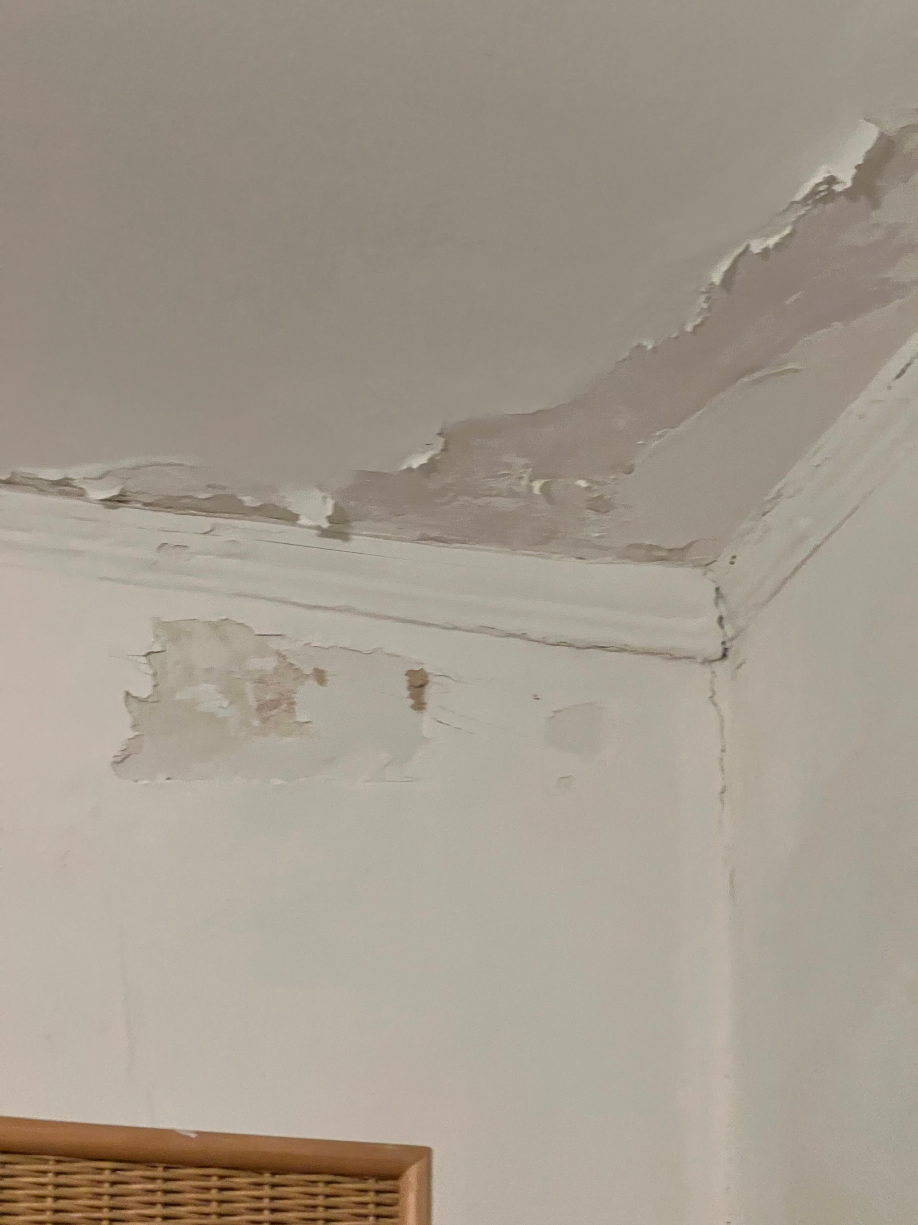 Bedroom ceiling before the torrential downpour which let in water 