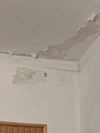 Bedroom ceiling before the torrential downpour which let in water