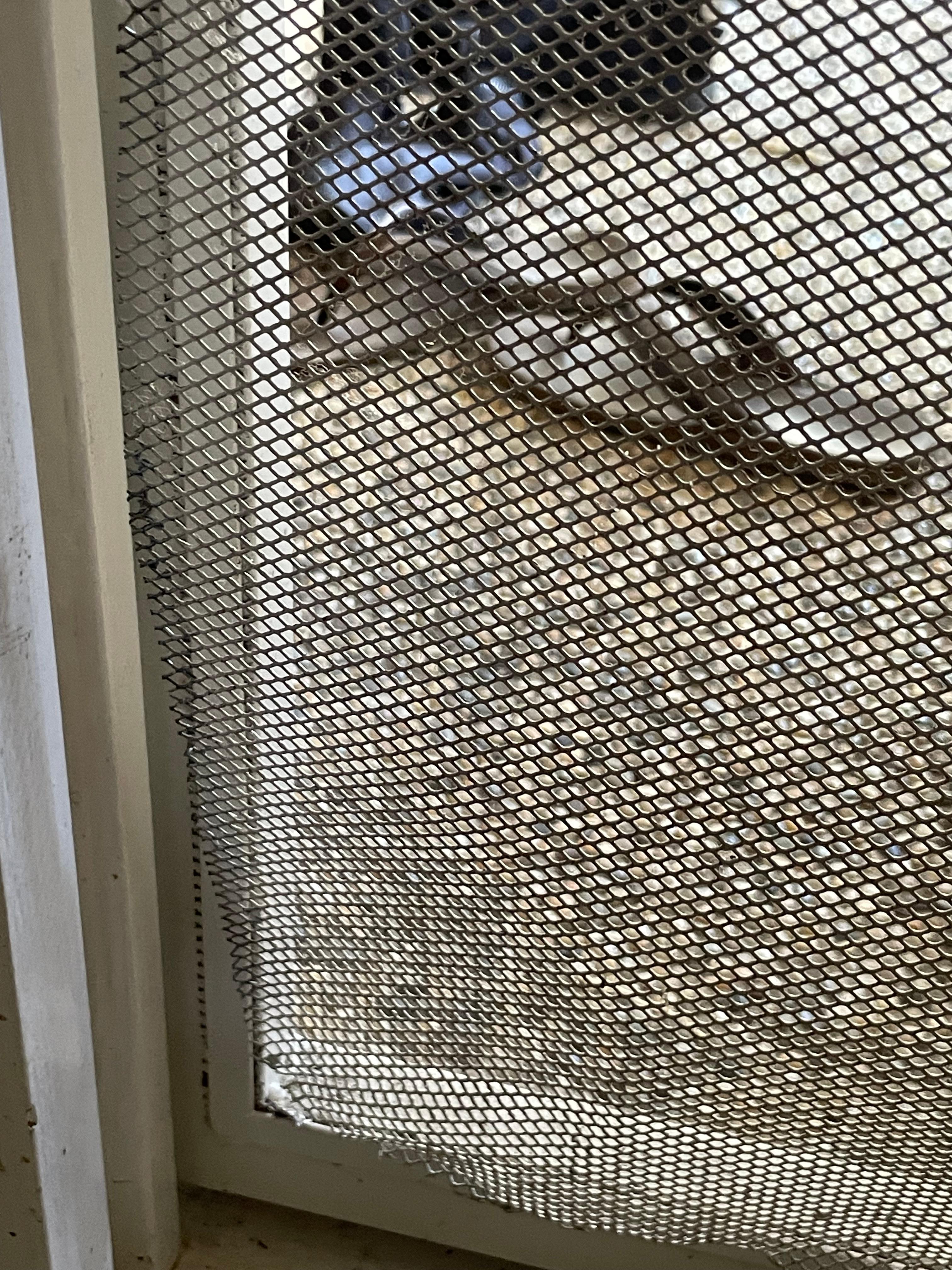 Front screen door broken