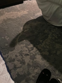Terrible carpets