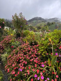The town of Guadalupe is tranquil and beautiful