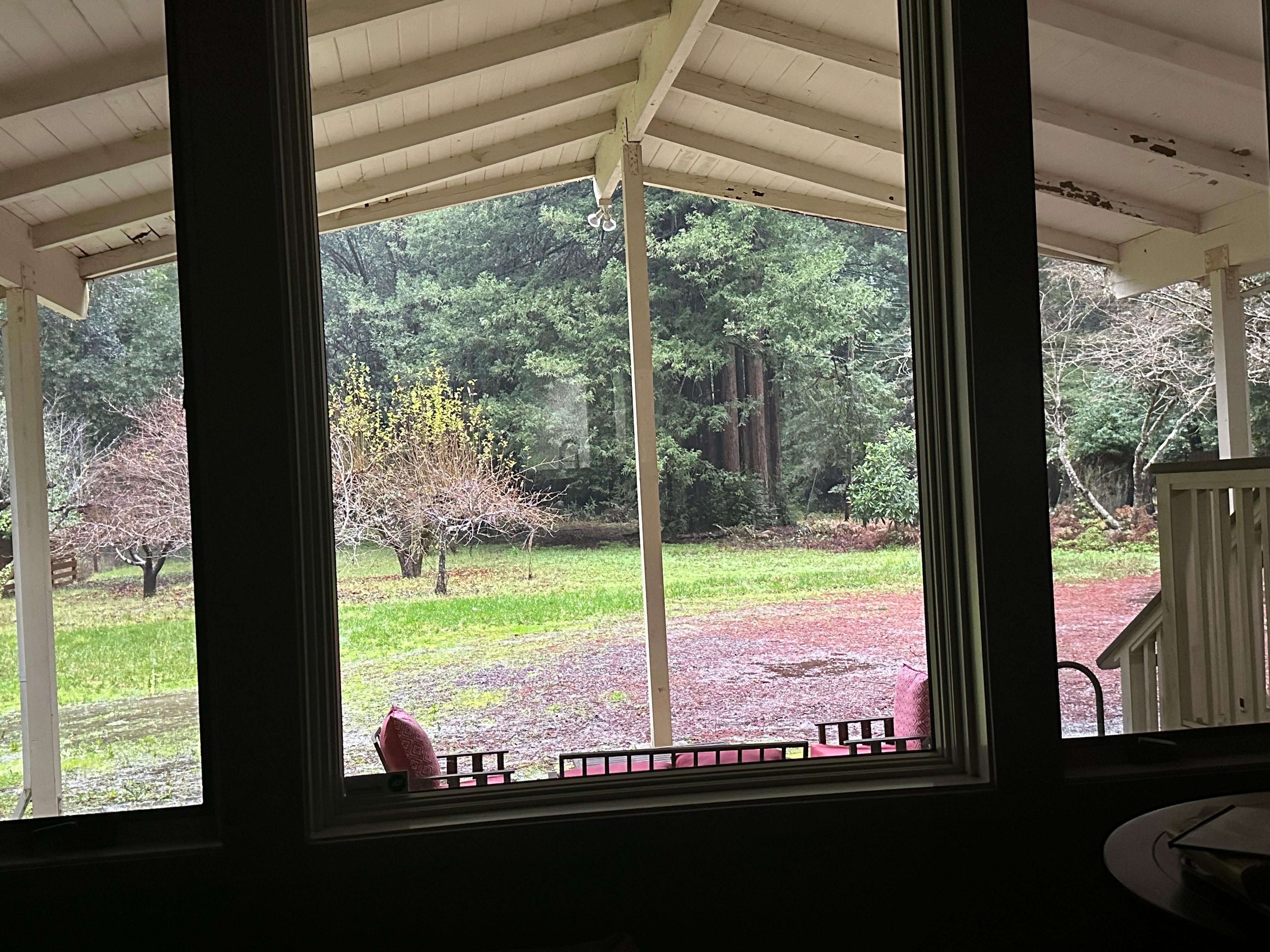 Front window’ s view