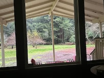 Front window’ s view