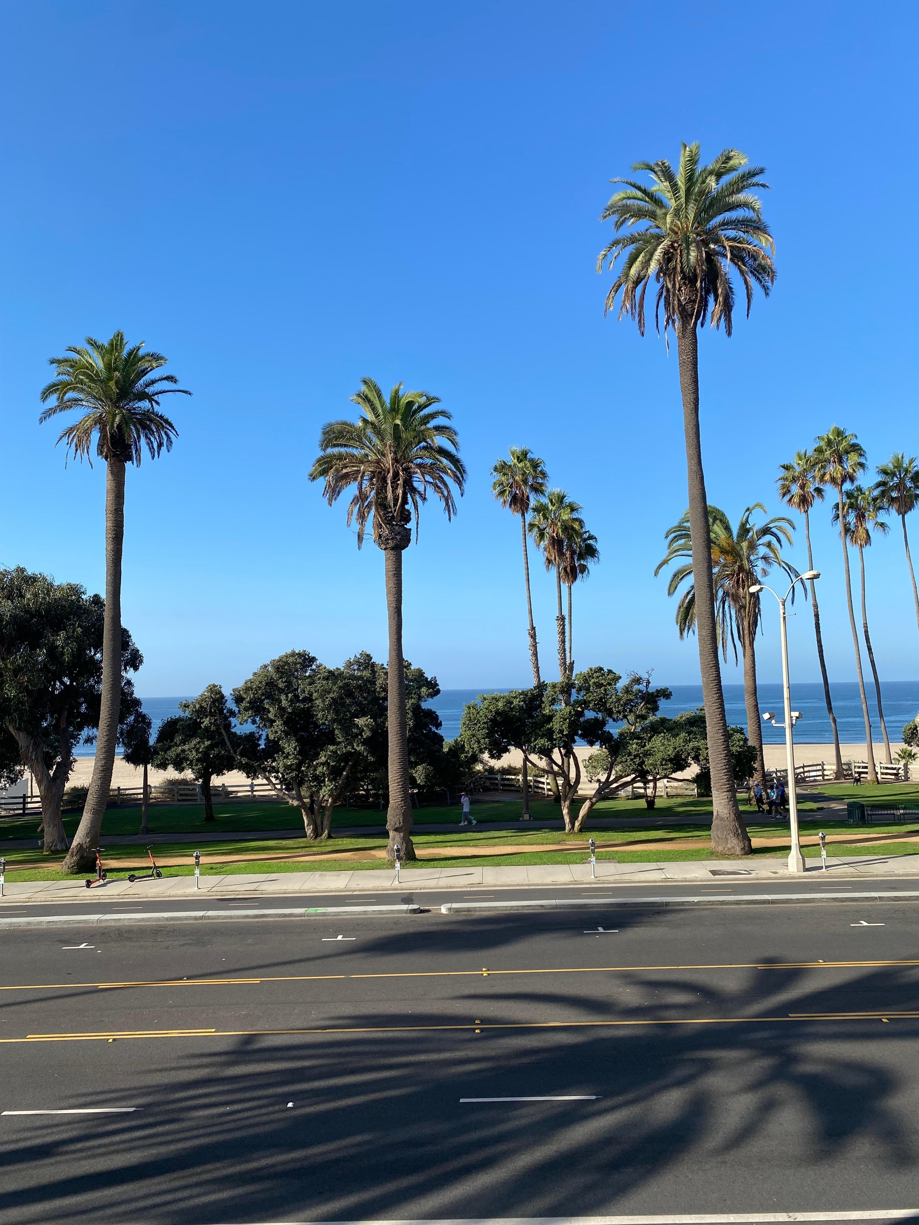 View in front of the hotel outside