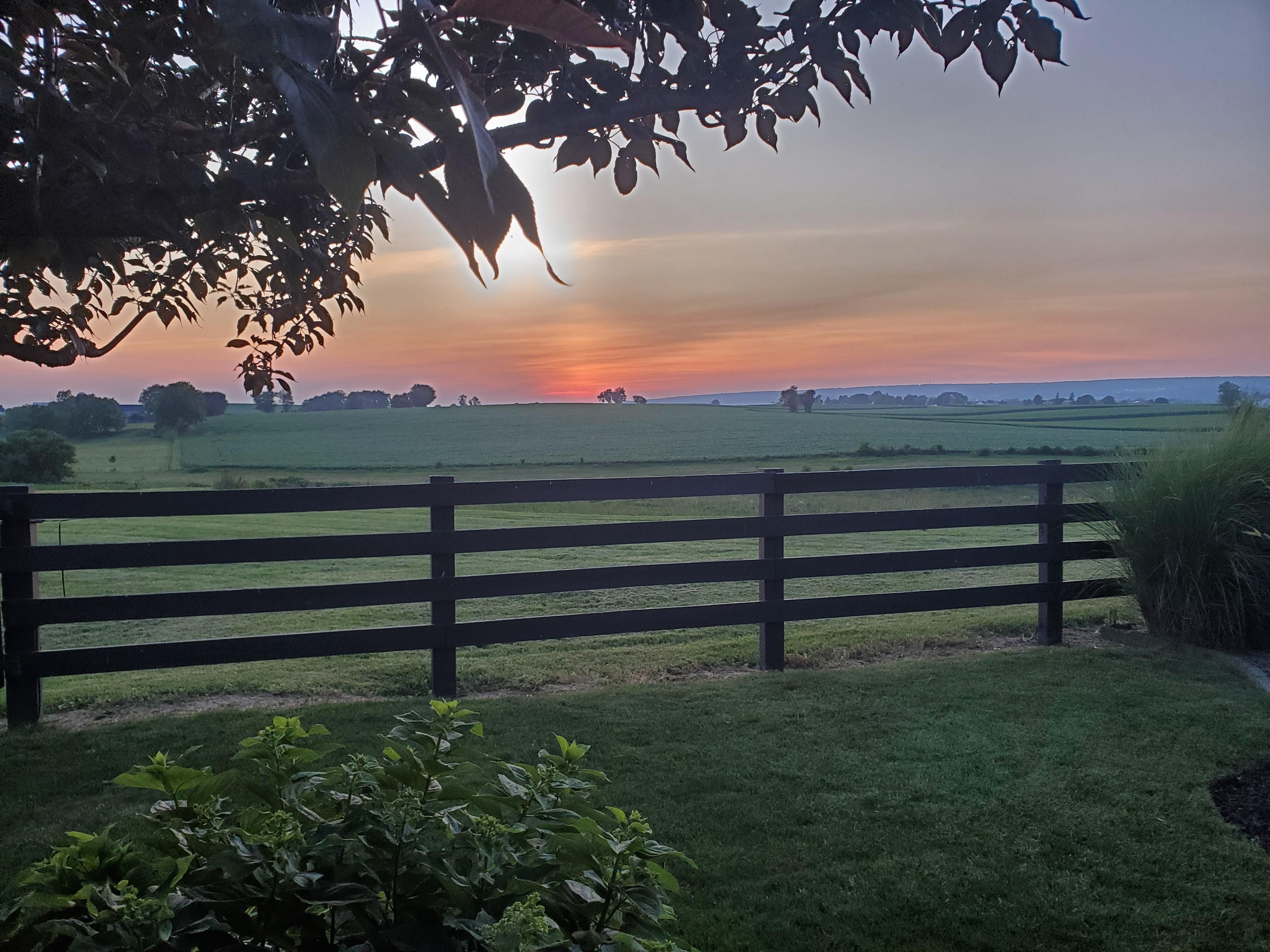 View from yard at sunset.