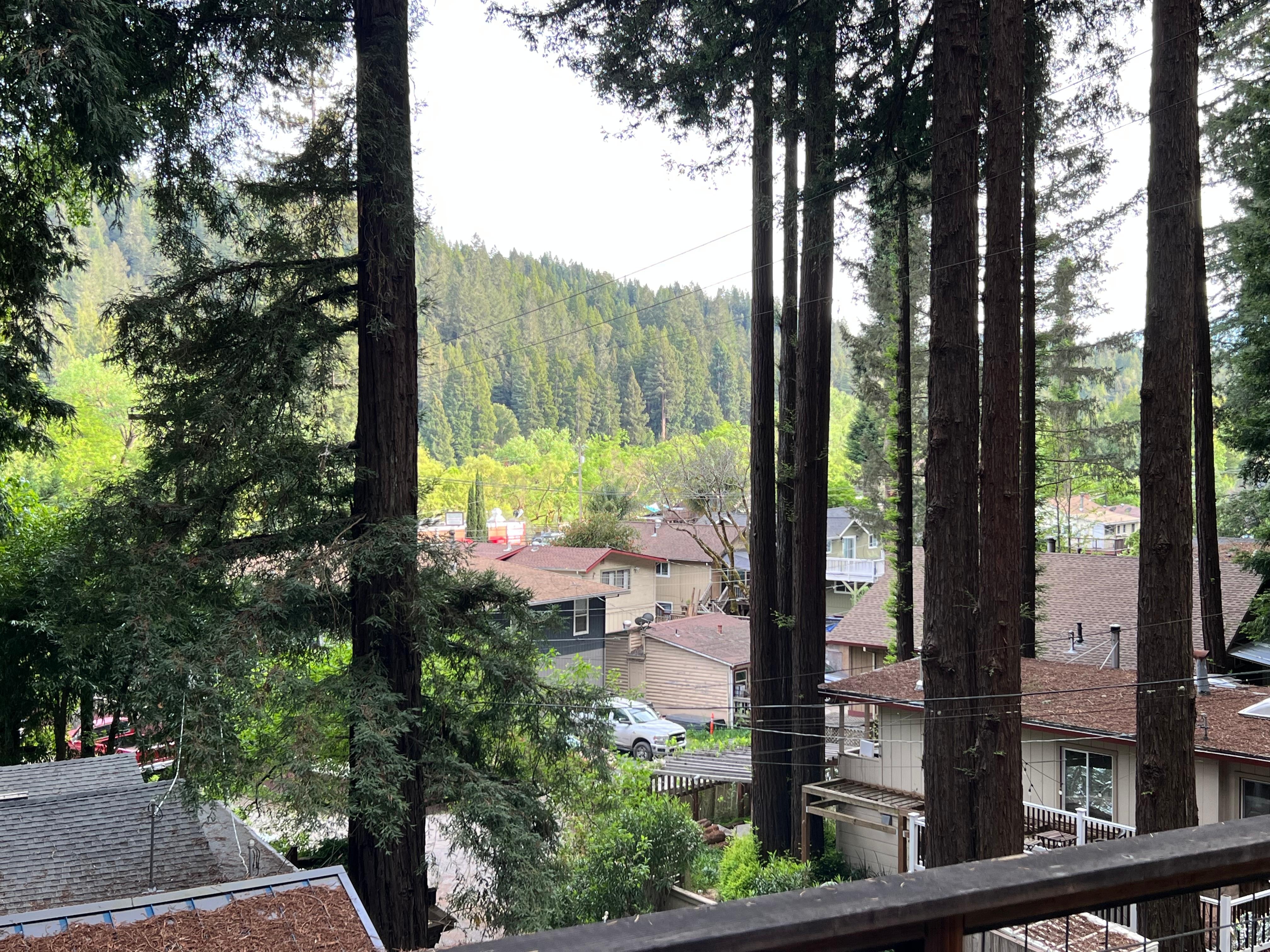 View from the front deck