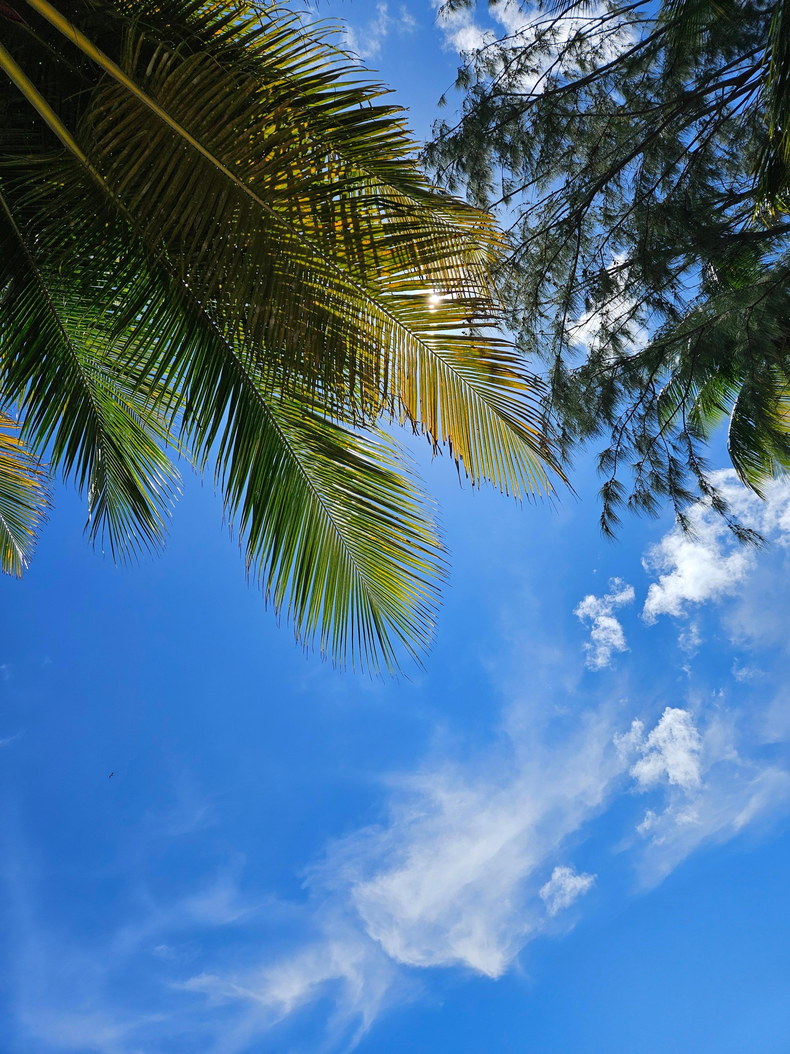 View of the sky at Laborie beach