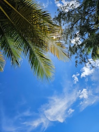 View of the sky at Laborie beach