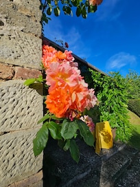 Everything was in bloom, simply gorgeous