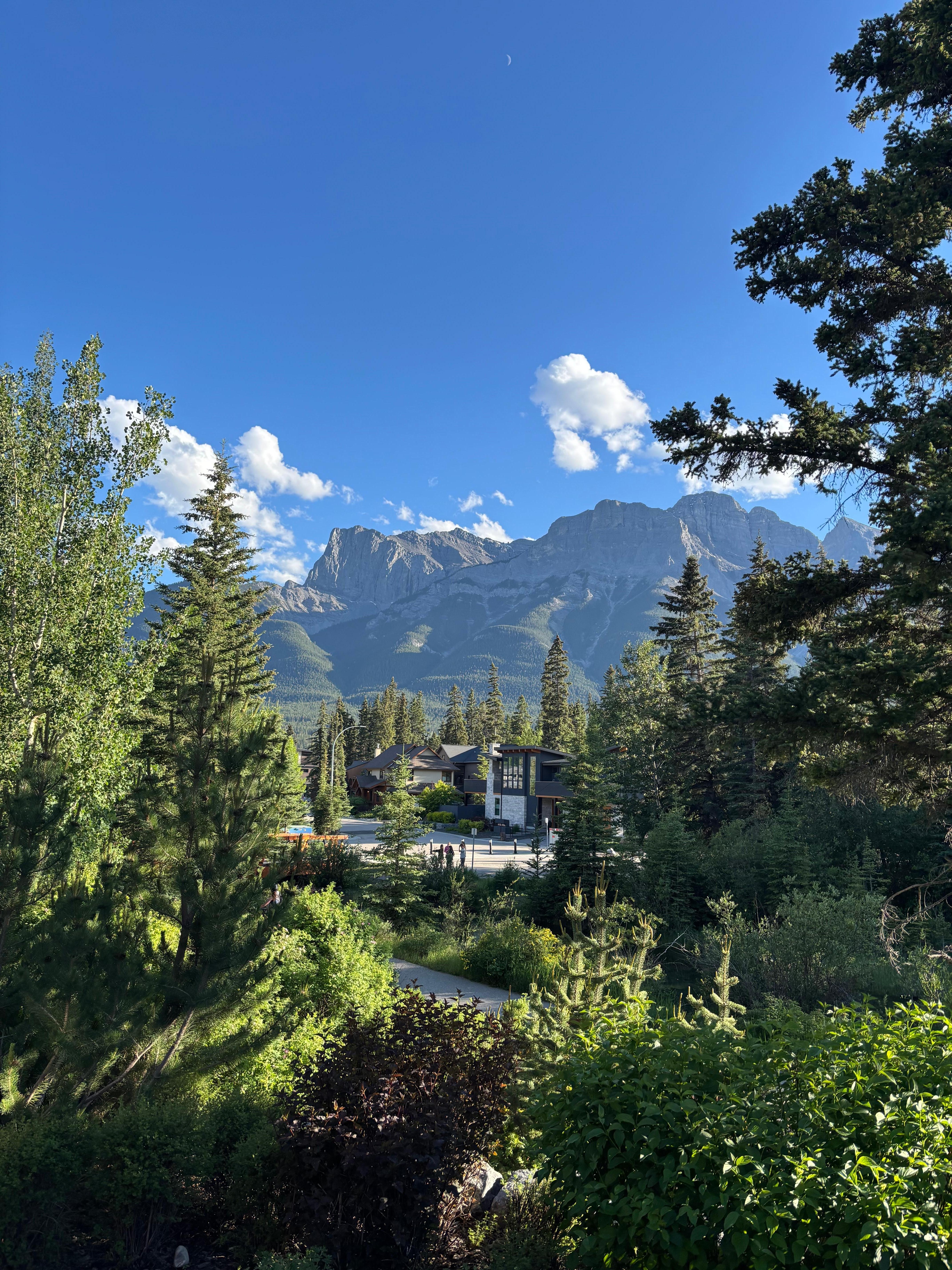 From our condo rental