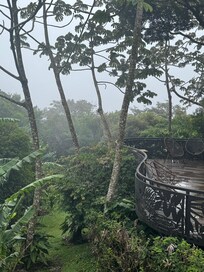 The viw from the dining room