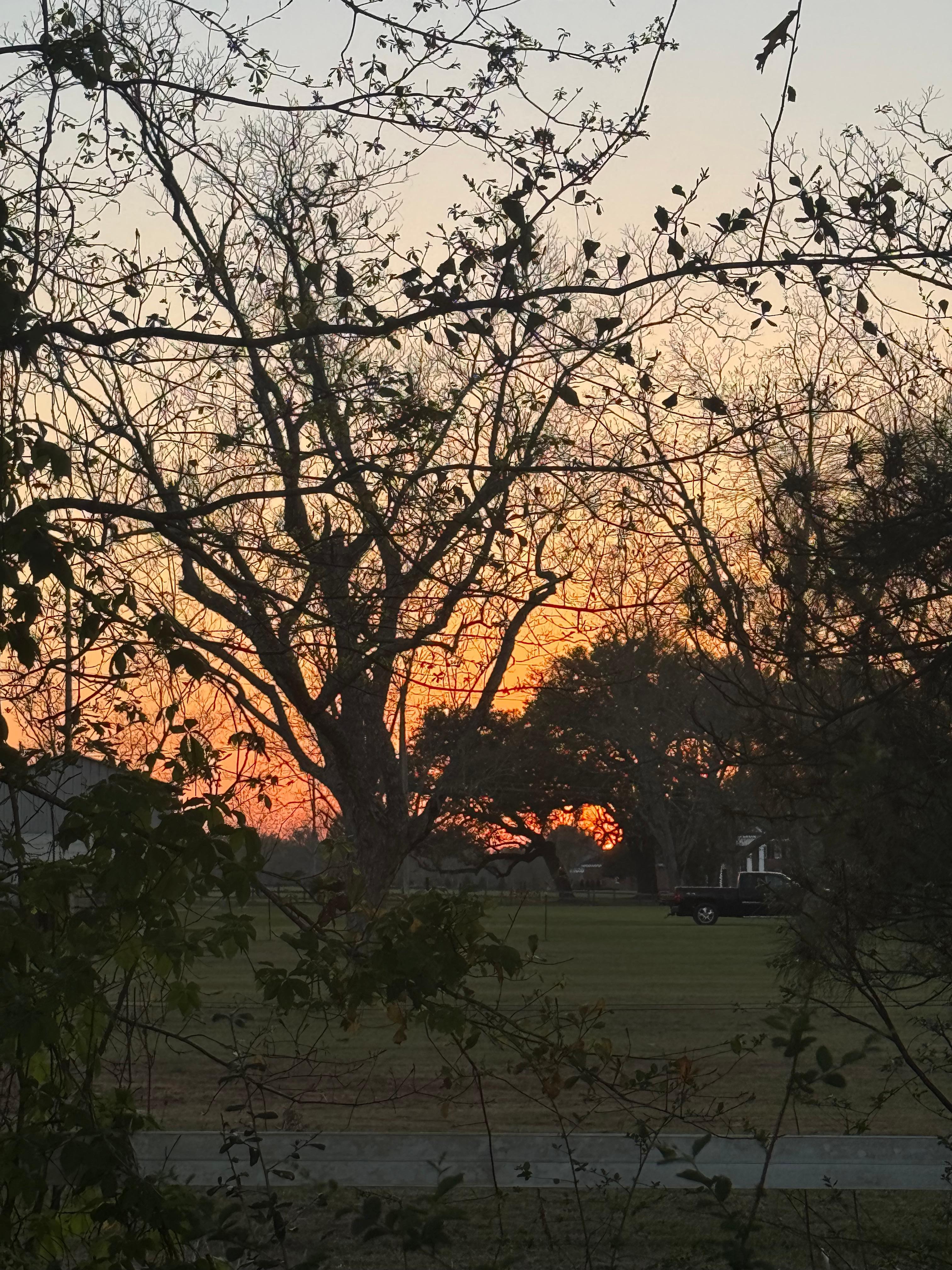 A sunset from the porch. 