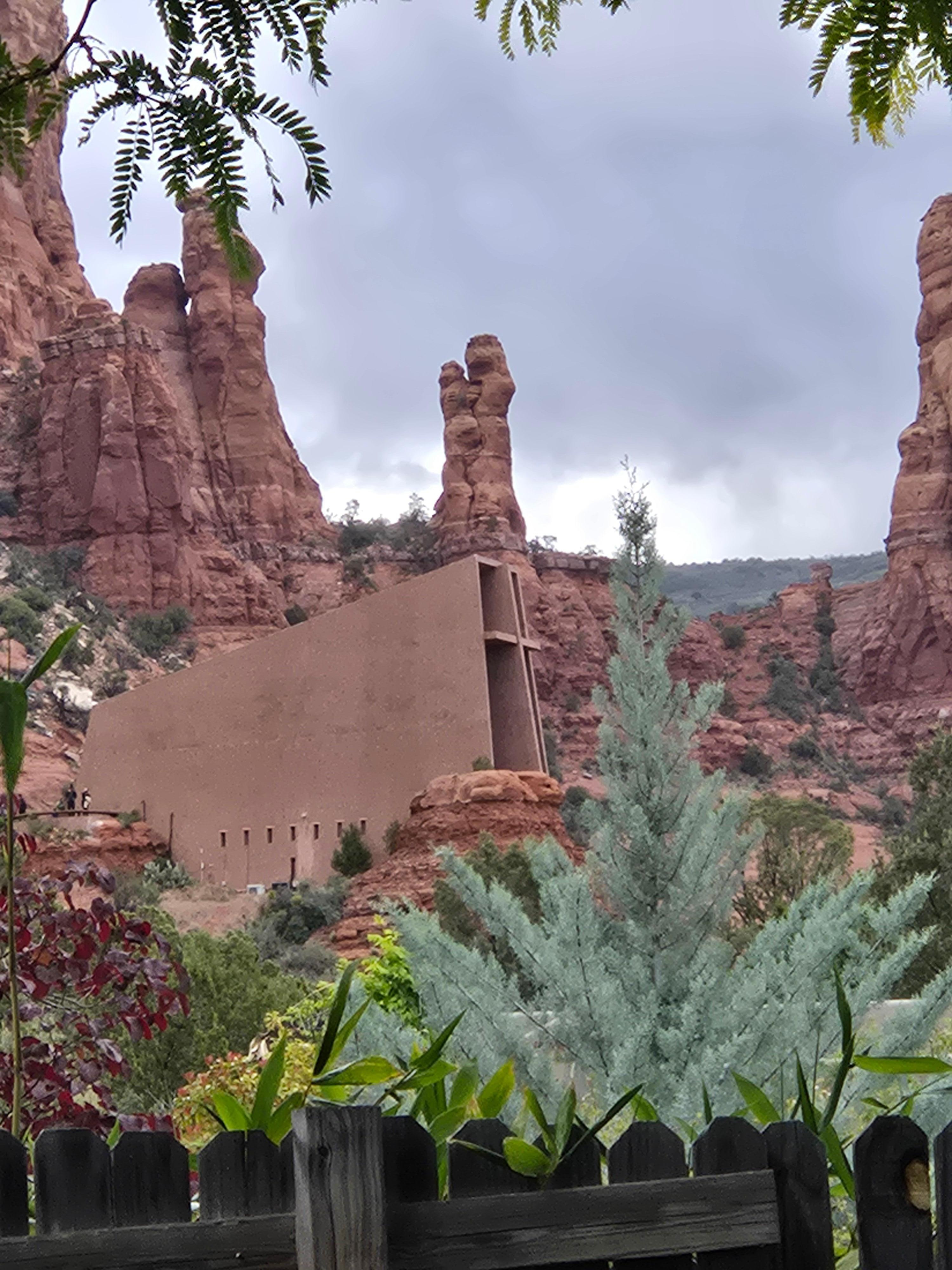 Backyard view