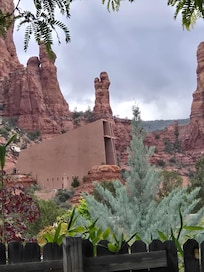 Backyard view