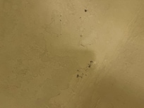 Mold under paint chippings