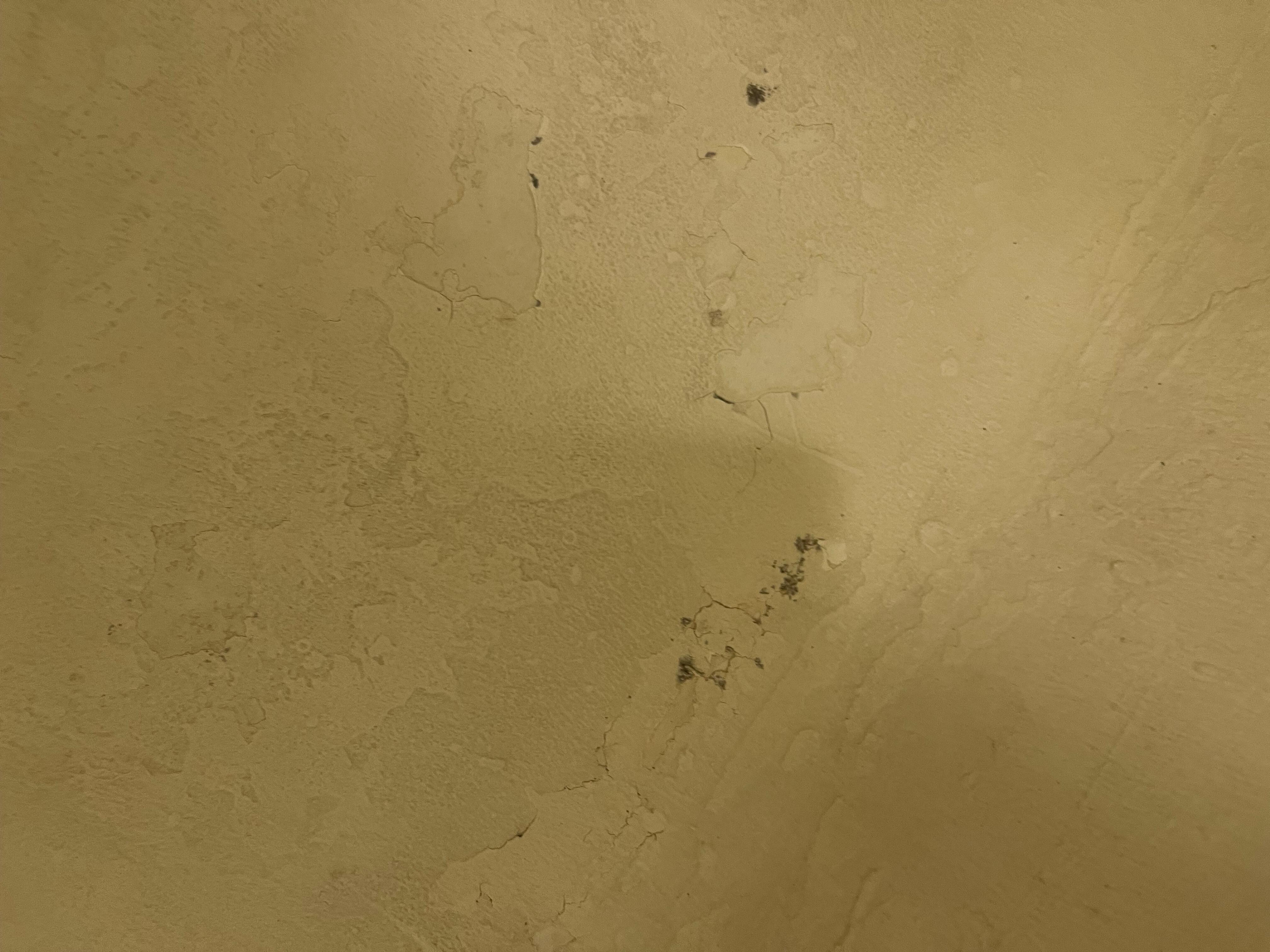 Mold under paint chippings