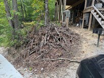 Here’s a wonderful brush pile, we never got a chance to see it. Go up in flames, but somebody might.