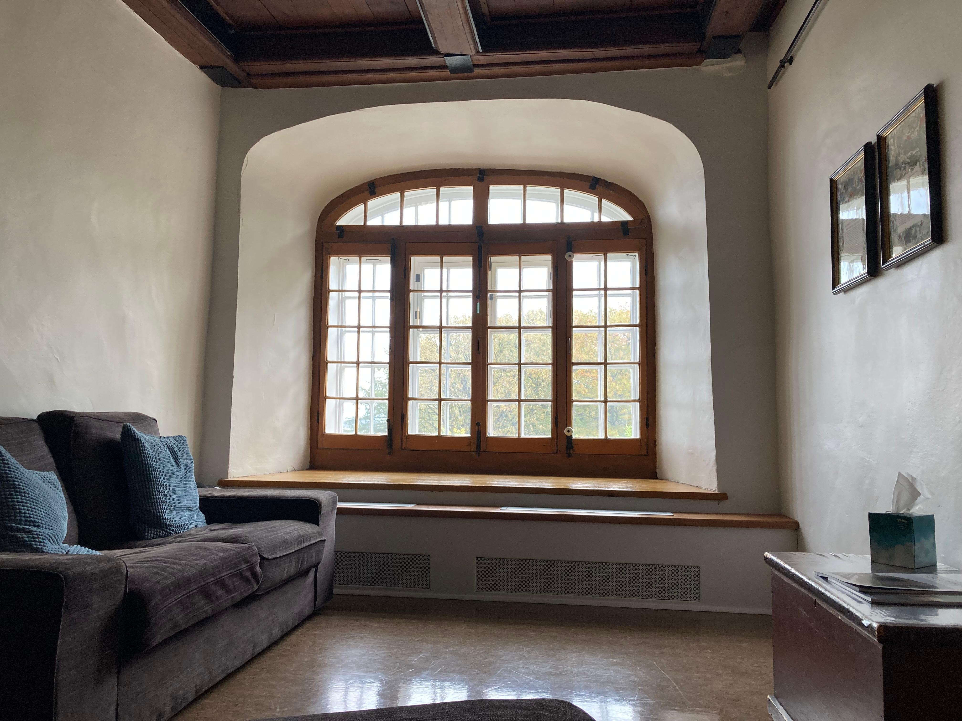 Lovely sofa and natural light to sit and read quietly.
