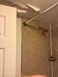Shower didn't work and water leaked from the ceiling.
