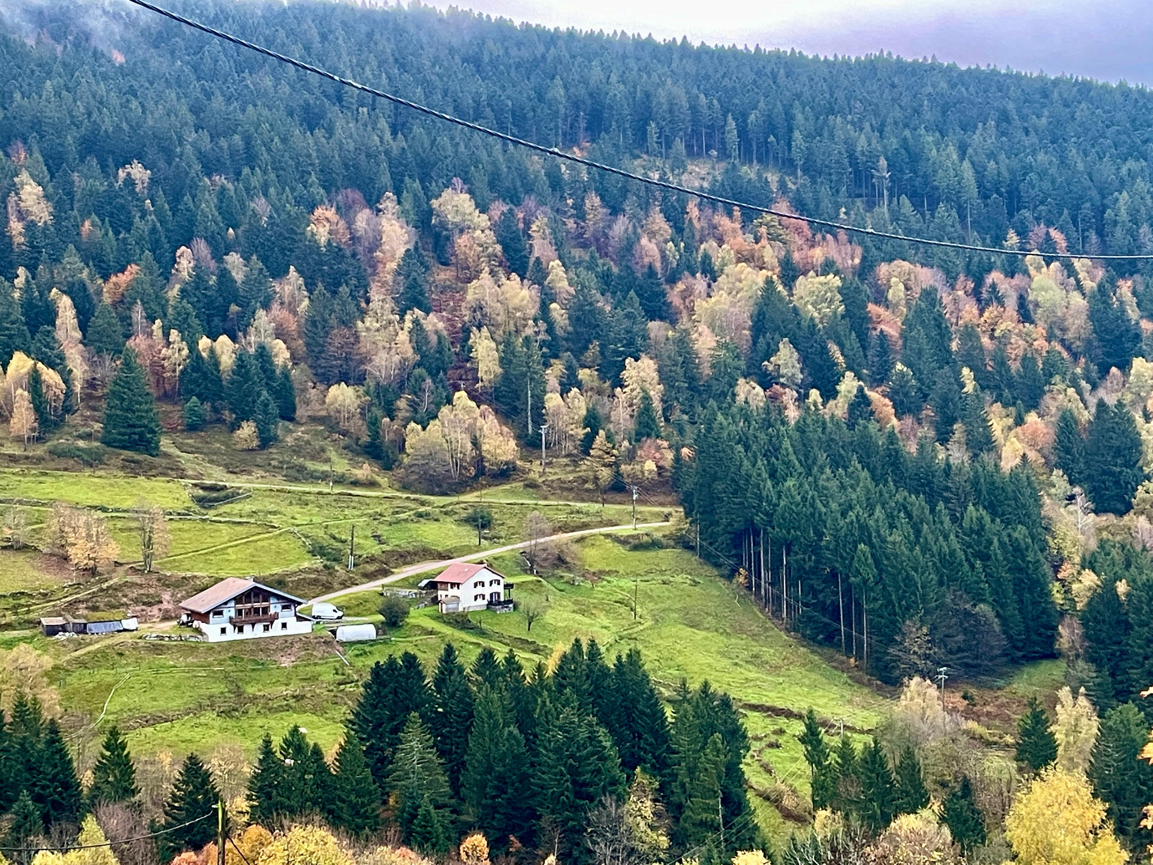 Aussicht auf das Ferienhaus