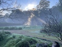 A misty morning as photographed from within the property.
