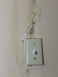 Mold