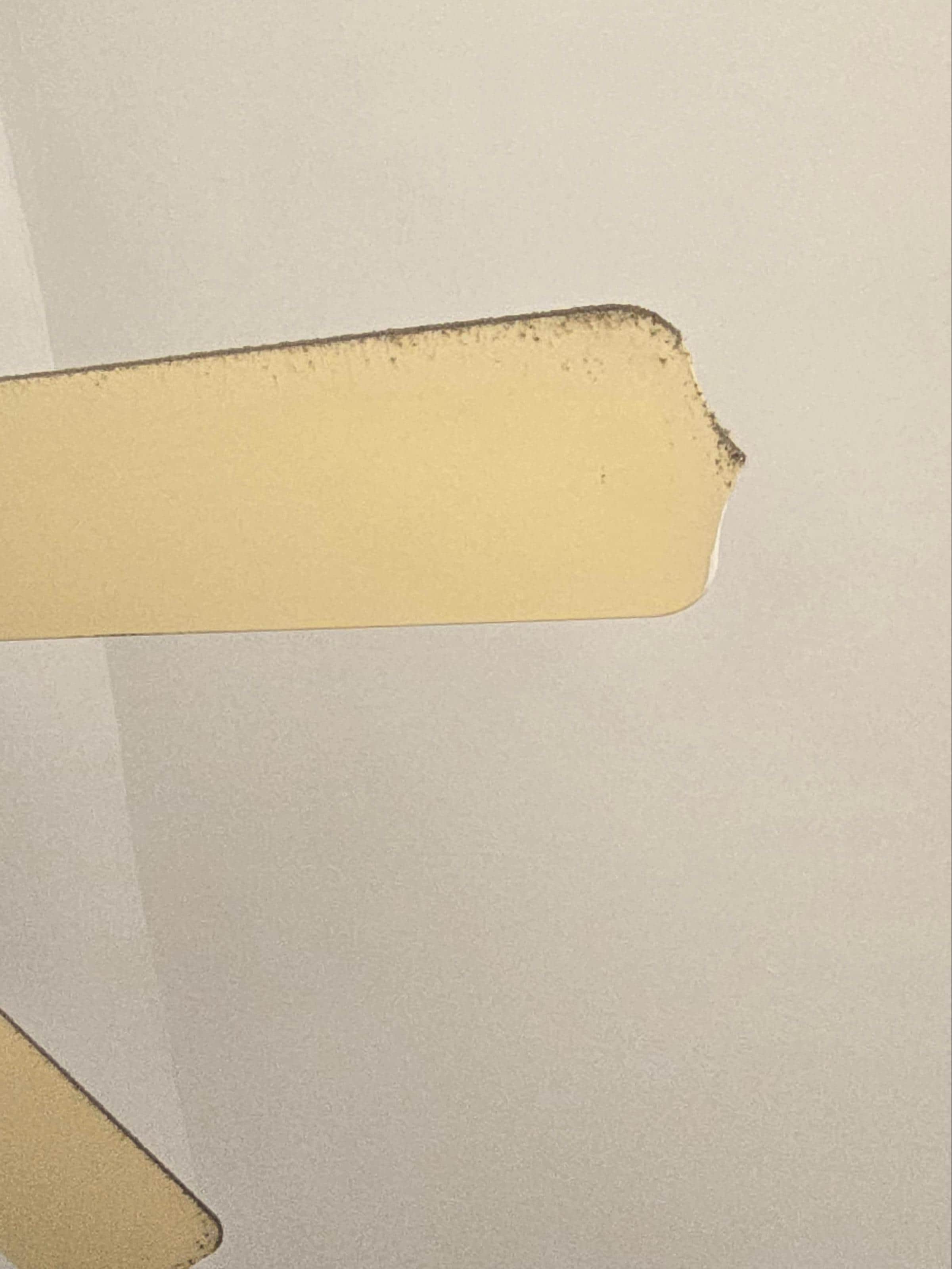 Several dirty and dusty ceiling fans (Pic 1 of 2)