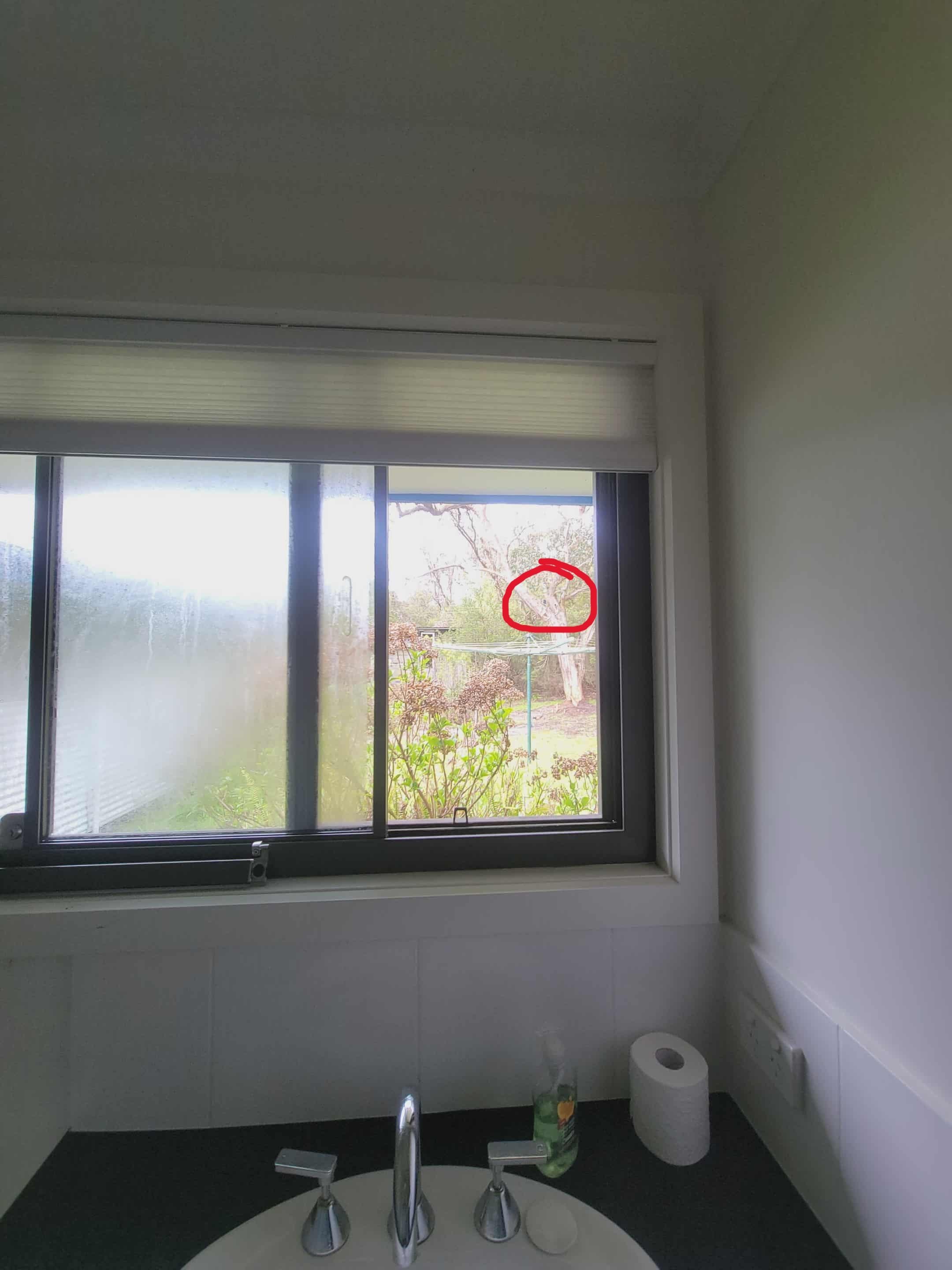 Security camera viewed from bathroom window