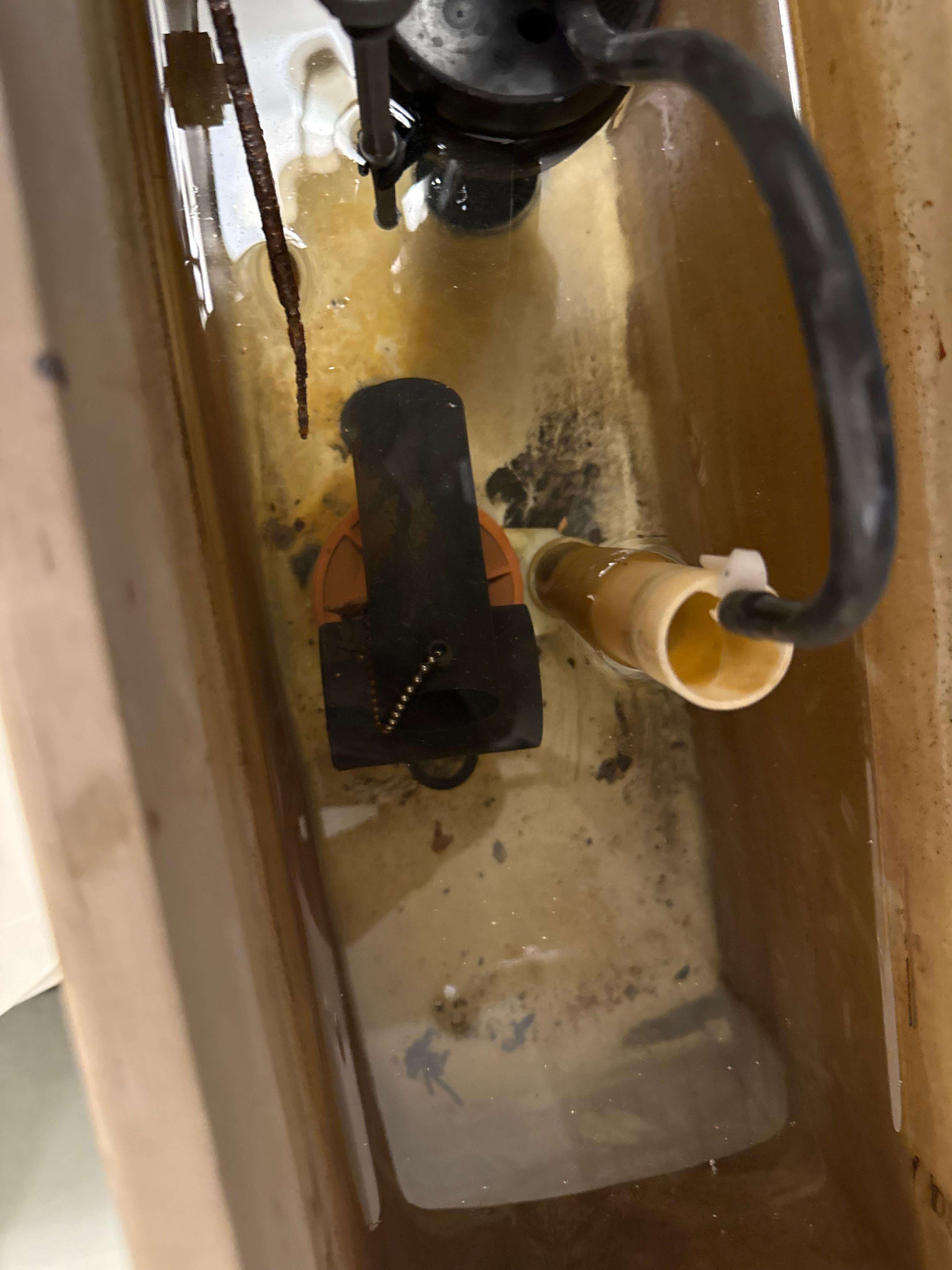 Broken toilet flush