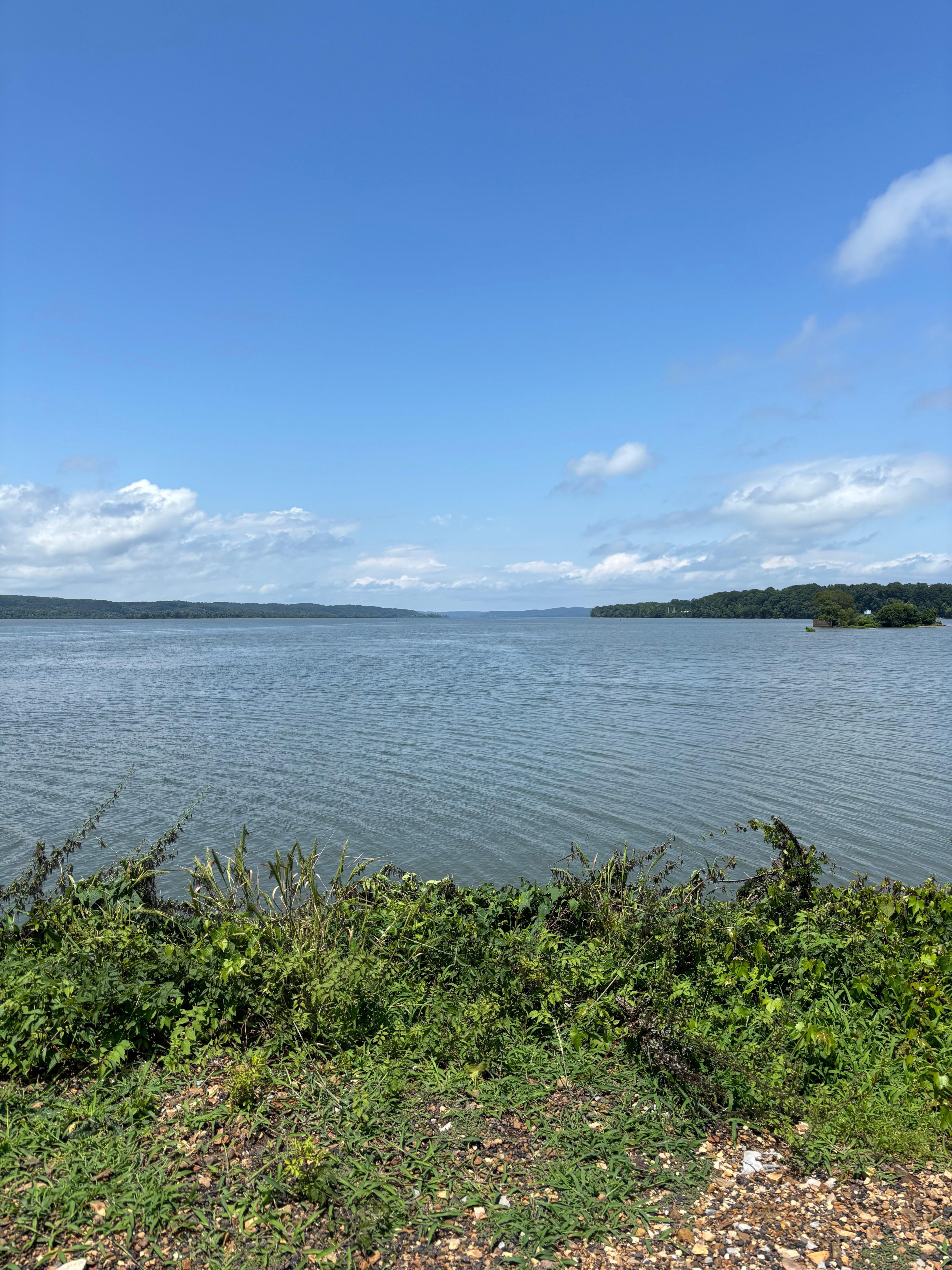 The bay