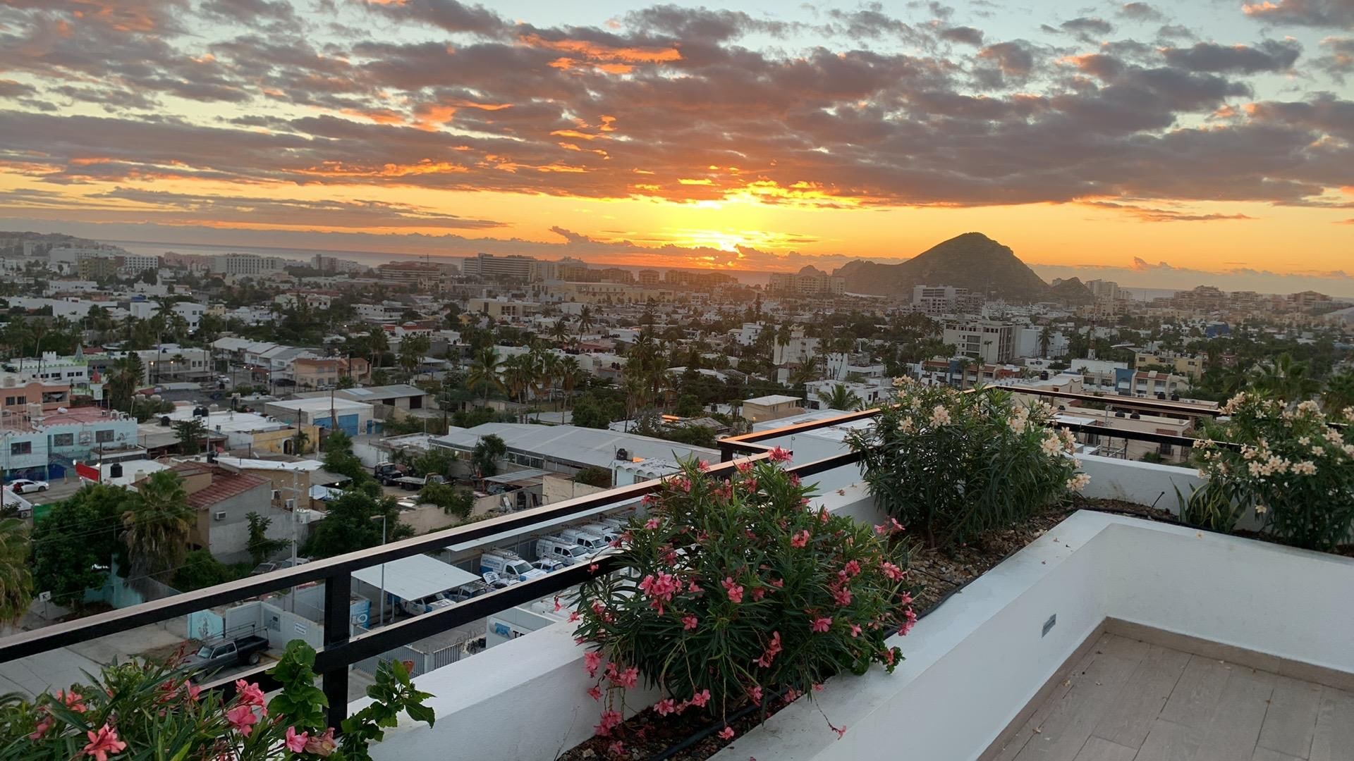 Sunsets and pretty flower gardens on the roof top. 