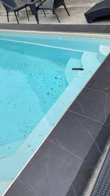 Pool filled with debris